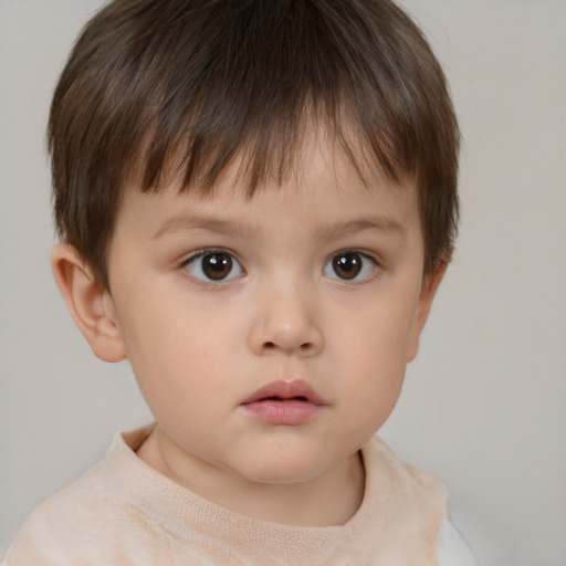 Neutral white child male with short  brown hair and brown eyes