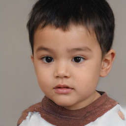 Neutral white child male with short  brown hair and brown eyes