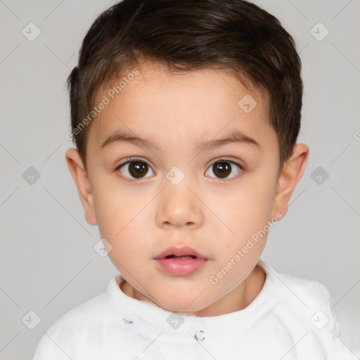 Neutral white child male with short  brown hair and brown eyes