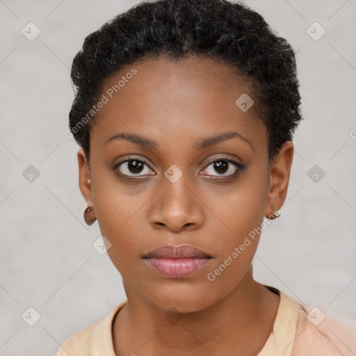 Neutral black young-adult female with short  brown hair and brown eyes