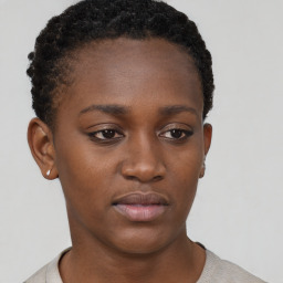 Neutral black young-adult female with short  brown hair and brown eyes