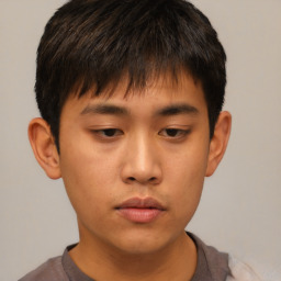 Neutral asian young-adult male with short  brown hair and brown eyes