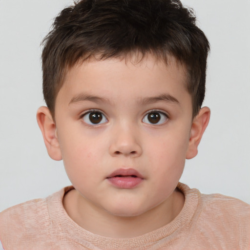 Neutral white child male with short  brown hair and brown eyes