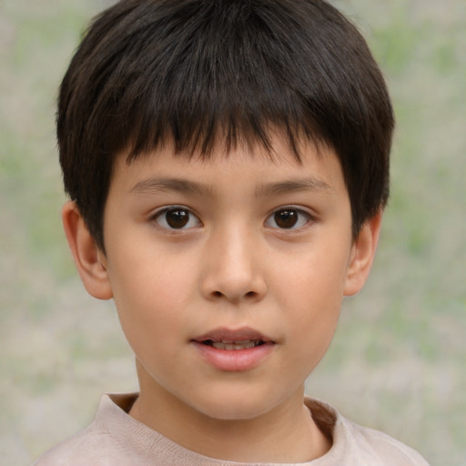 Neutral white child male with short  brown hair and brown eyes