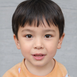 Joyful white child male with short  brown hair and brown eyes