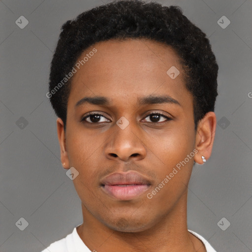 Neutral black young-adult male with short  black hair and brown eyes