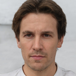 Neutral white adult male with short  brown hair and brown eyes