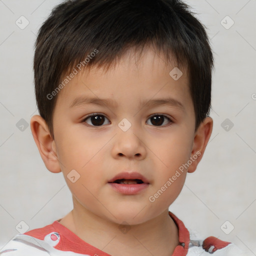 Neutral white child male with short  brown hair and brown eyes