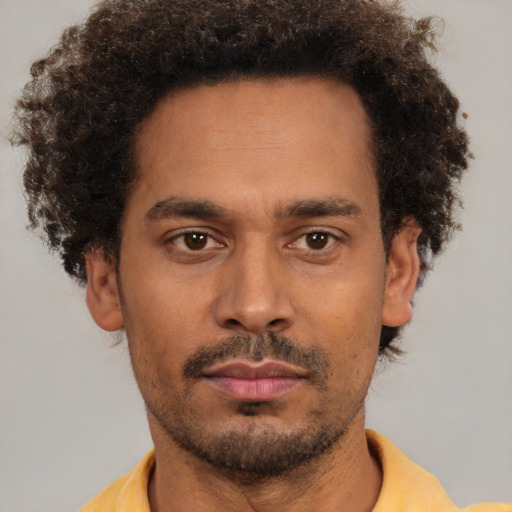 Neutral black young-adult male with short  brown hair and brown eyes