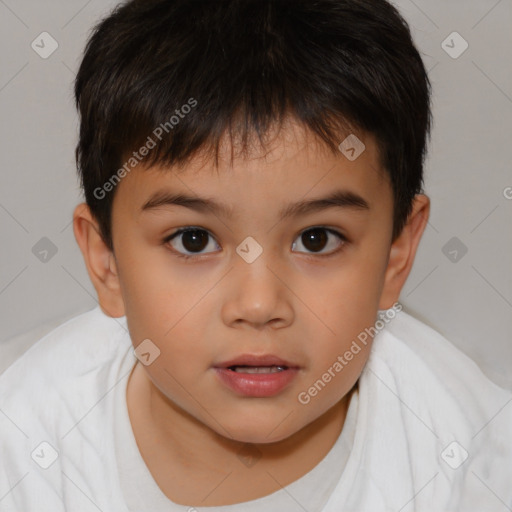 Neutral white child male with short  brown hair and brown eyes