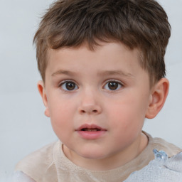 Neutral white child male with short  brown hair and brown eyes