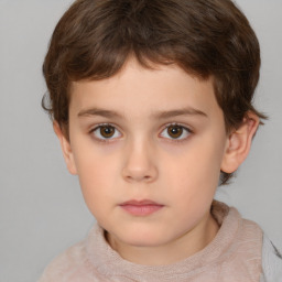 Neutral white child male with short  brown hair and brown eyes