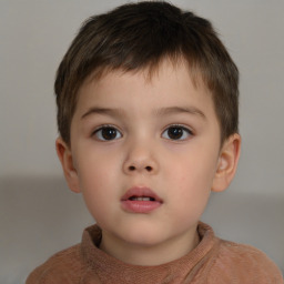 Neutral white child male with short  brown hair and brown eyes