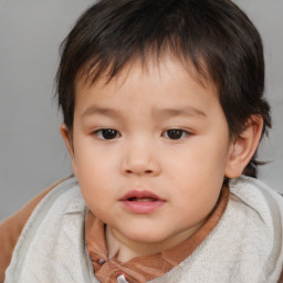 Neutral white child male with short  brown hair and brown eyes