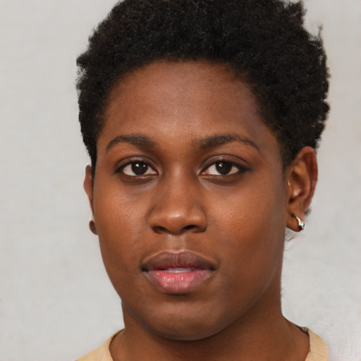 Neutral black young-adult female with short  brown hair and brown eyes