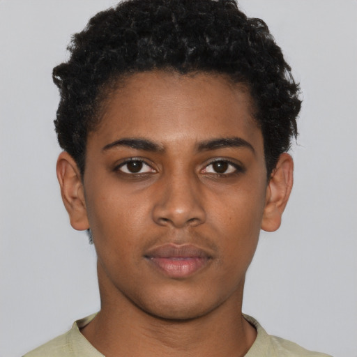 Neutral black young-adult female with short  black hair and brown eyes