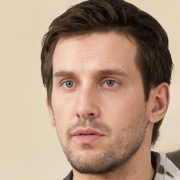 Neutral white young-adult male with short  brown hair and grey eyes
