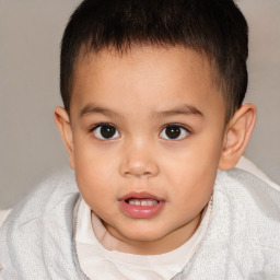 Joyful white child female with short  brown hair and brown eyes