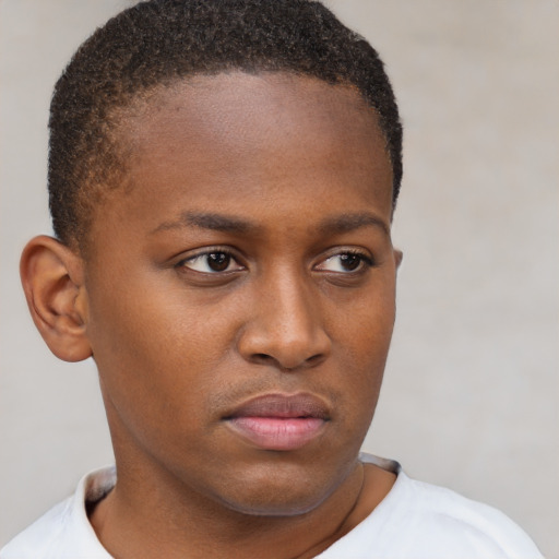 Neutral black young-adult female with short  brown hair and brown eyes