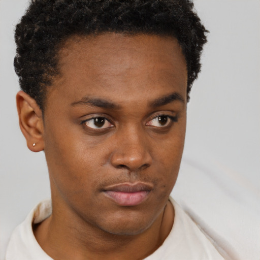 Neutral black young-adult male with short  brown hair and brown eyes