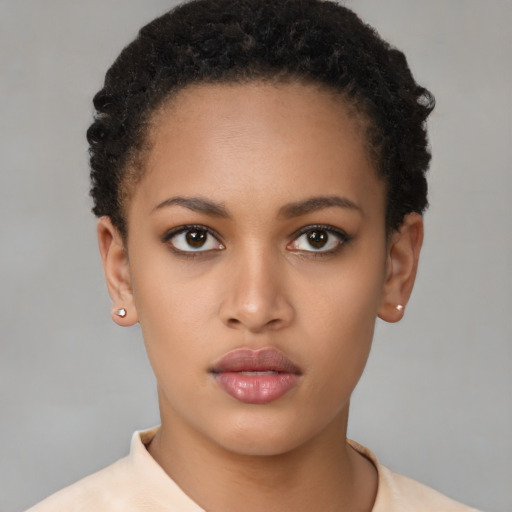 Neutral black young-adult female with short  brown hair and brown eyes