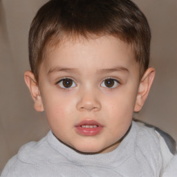 Neutral white child male with short  brown hair and brown eyes