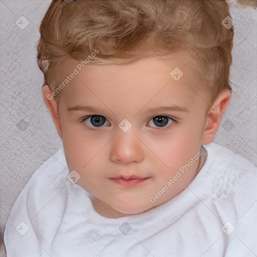 Neutral white child male with short  brown hair and brown eyes