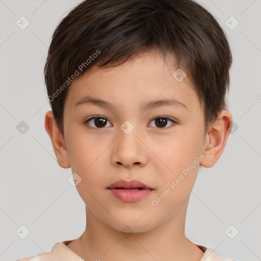 Neutral white child male with short  brown hair and brown eyes