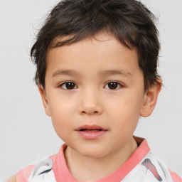 Neutral white child male with short  brown hair and brown eyes