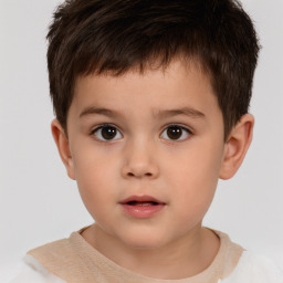 Neutral white child male with short  brown hair and brown eyes