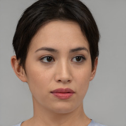 Neutral asian young-adult female with short  brown hair and brown eyes