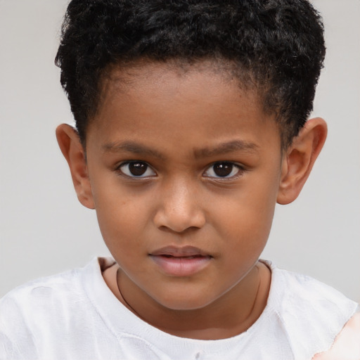 Joyful black child male with short  brown hair and brown eyes