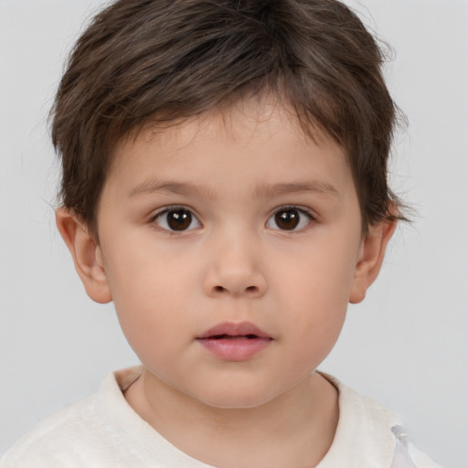 Neutral white child male with short  brown hair and brown eyes