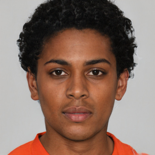 Neutral black young-adult female with short  black hair and brown eyes