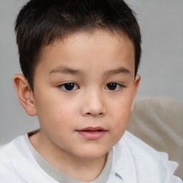 Neutral white child male with short  brown hair and brown eyes