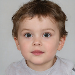 Neutral white child male with short  brown hair and brown eyes