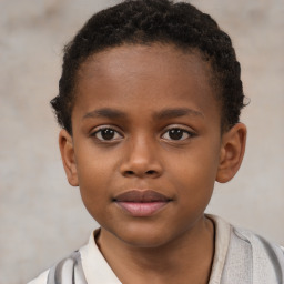 Joyful black child male with short  brown hair and brown eyes