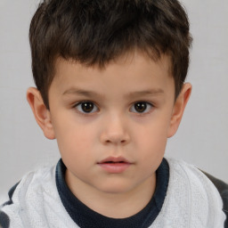 Neutral white child male with short  brown hair and brown eyes