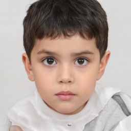 Neutral white child male with short  brown hair and brown eyes