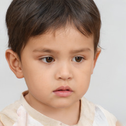 Neutral white child male with short  brown hair and brown eyes