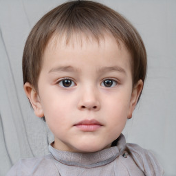 Neutral white child male with short  brown hair and brown eyes