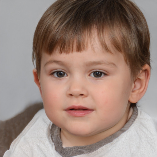 Neutral white child male with short  brown hair and brown eyes