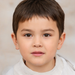 Neutral white child male with short  brown hair and brown eyes