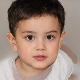 Neutral white child male with short  brown hair and brown eyes