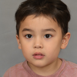 Neutral white child male with short  brown hair and brown eyes