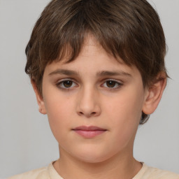 Neutral white child male with short  brown hair and brown eyes