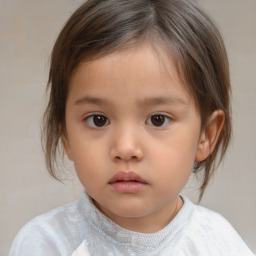 Neutral white child female with medium  brown hair and brown eyes