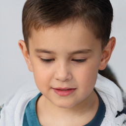 Joyful white child male with short  brown hair and brown eyes