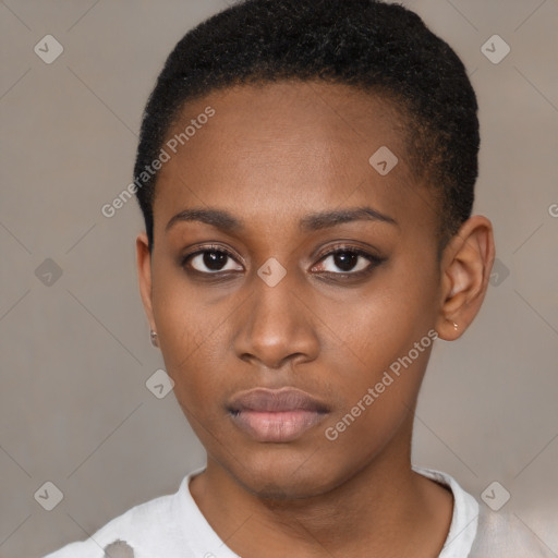 Neutral black young-adult female with short  brown hair and brown eyes