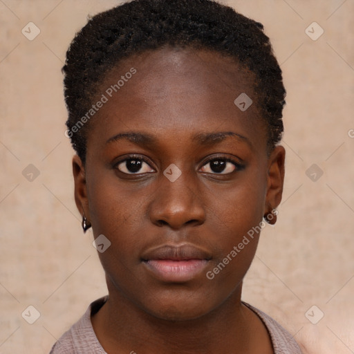 Neutral black young-adult female with short  brown hair and brown eyes